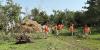 Inmates help with storm cleanup efforts in Huron and Highmore
