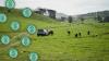 ‘The window for action is closing’: NZ’s rate of emissions reduction needs to more than double - Climate Change Commission