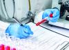 PSPF’s genetic profiling to end DNA disputes