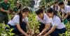 Editorial: Civil Society: A Powerful Partner in Protecting Our Environment