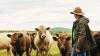 NSW Nationals dumped from speakers line-up at major Sydney farming conference