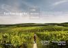 Visit Czechia and Cozmo Travel Launch GCC Summer Campaign Showcasing Curated Czechia Experiences