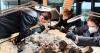 2,000 volunteers join a painstaking effort to restore massive skeleton of prehistoric predator