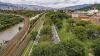 Colombia planted 880,000 trees across the streets of one city to tackle rising temperatures, and the plantation delivered localised cooling of up to 5°C in shaded areas