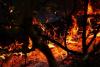 World Reuters Fast-moving wildfire in southern France forces hundreds to flee