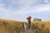 Q&A: How Purina is implementing regenerative agriculture