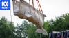 Six beluga whales make successful journey by air from Canada to US
