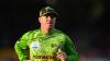 Former Australia test opener David Warner admits drink-driving charge