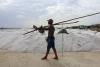 Senegal's 'Pink Lake' recovers its rosy hue, reviving salt trade