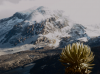 Exploration permit granted for Barranquero geothermal site in Colombia