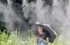 World Reuters Japan sizzles in first 'brutally hot' days of the year