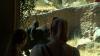 Cheyenne Mountain Zoo celebrates first birthday of baby gorilla Sully