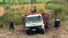 Labour shortage slows sugar production