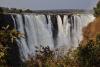 Victoria Falls tourists told to stay away as elephant roams area