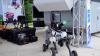 Technology drives smarter forestry, boosts productivity