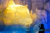 Global Media Explore Harbin’s Innovation And Summer Charm