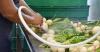Cyclosporiasis cases rise in North Carolina