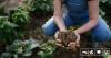FAIRR Reports Widening ‘Credibility Gap’ In Regenerative Agriculture Roll-Out