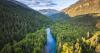 The CIIS Alum Giving Nature a Voice in the Courtroom