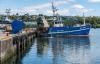 Irish government-commissioned report recommends income supplement, retirement schemes for fishers