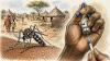 Call for public health emergency amid Dengue outbreak in Sudan’s Blue Nile state