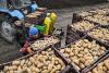 Kyiv restores agriculture ministry ahead of crucial EU accession talks