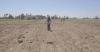 Africa's hungry population tops world: UN report