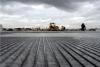 Research Study on Diamond Grinding on Runway Pavement