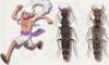 Scientists Name Bizarre New Beetle Genus After Popular Anime Character Luffy