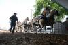 Missouri State Fair Equine Shows Scheduled