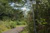Tax Codes, State Highways And Energy: Hawaiʻi County Council District 4