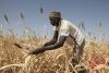 IFAD, South Sudan launch US$41.8 million project to strengthen food security