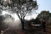 Spain, France battle wildfires as intense heat grips southern Europe