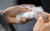 TMAS welcomes ReSpin as Swedish textile recycling accelerates