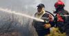 Six deceased due to the forest fires in northern Algeria