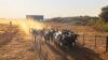 BDC’s dairy venture takes shape