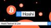 Hashi Testnet Is Live, Bringing Native Bitcoin Finance One Step Closer to Global Adoption