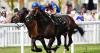 Scandinavia and Trawlerman on course for Goodwood Cup battle