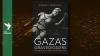 Who enabled Israel's genocide? Norman Finkelstein answers