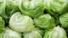 Jamaica heightens monitoring of imported produce amid US cyclospora outbreak
