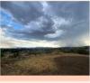 New Mexico Monsoon and Gardening