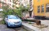 Heavy Storm Hits North Macedonia, Damaging Buildings, Uprooting Trees