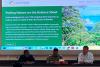 Berau, Seychelles explore candlenut cultivation on post-mining lands