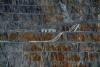 Exclusive-Panama weighs creation of state-owned miner to pave way for Cobre Panama re-opening