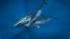 When ships are nearby, sperm whales change their calls