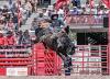 Crimber scores 90.5 in Cheyenne Frontier Days debut