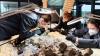 2,000 volunteers join a painstaking effort to restore massive prehistoric skeleton