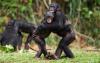How to stop an argument? Hold hands, scientists say