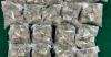Hong Kong Customs Seizes 28.6 kg of Cannabis, Arrests Two in Major Drug Bust