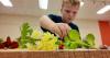 Berks County Master Gardeners and 4H Partner for first ever Garden Day camp
